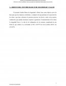 OBJETO DEL ESTUDIO BASICO DE SEGURIDAD Y SALUD