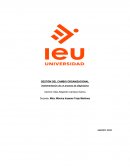 GESTIÓN DEL CAMBIO ORGANIZACIONAL Implementación de un proceso de diagnóstico