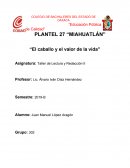 El caballo y el valor de la vida