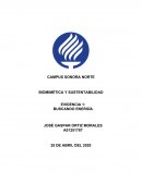 BIOMIMÉTICA Y SUSTENTABILIDAD EVIDENCIA 1: BUSCANDO ENERGÍA