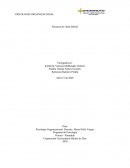 Encuesta de clima laboral Cadena de Supermercados Lo Mejor