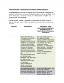 Descubrimientos e invenciones tecnológicos del Renacimiento