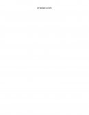 INGENIERO INDUSTRIAL