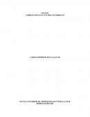 CORRUPCION EN EL ESTADO COLOMBIANO