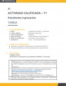 Cuestionario CONÓCE-T y entrevista