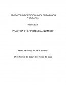 POTENCIAL QUIMICO