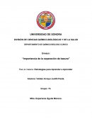 Importancia de la separación de basura