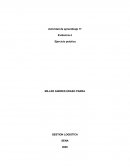 GESTION LOGISTICA Empresa SOLLA S.A