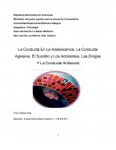La Conducta En La Adolescencia. La Conducta Agresiva. Él Suicidio y Los Accidentes. Las Drogas Y La Conducta Antisocial