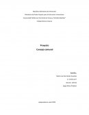 Ensayo de los consejos comunales