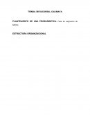 CONFORMACION DE RECURSOS HUMANOS