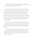 El impacto ambiental que propicia el desarrollo hotelero en Cancún