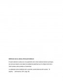 Definición de la cultura, Echeverría Bolívar