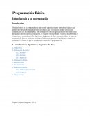 Programación Básica