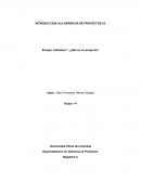 INTRODUCCION ALA GERENCIA DE PROYECTOS V3