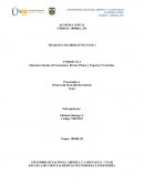 Sistemas Lineales de Ecuaciones, Rectas, Planos y Espacios Vectoriales