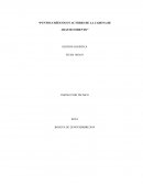 Puntos críticos en actores de la cadena de abastecimiento