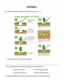 Cuestionarios en Etapa de Cuarentena
