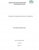 DIFERENTES PLATAFORMAS LMS GRATUITAS Y DE PAGO