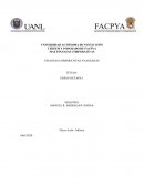 Las métricas de riesgo y rendimiento de Grupo Lala, S.A.B