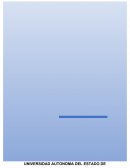 DESARROLLO SUSTENTABLE Y MEDIO AMBIENTE