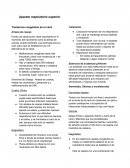 Guia de pediatria