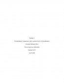 Termodinámica: temperatura, calor y primera ley de la termodinámica