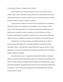 La importancia del manejo y cuidado del medio ambiente