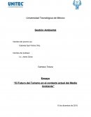 “El Futuro del Turismo en el contexto actual del Medio Ambiente”