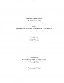 Dispositivo elevador de sillas portable y ajustable.