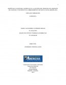 DISEÑO DE UN SISTEMA LOGÍSTICO EN LA GESTIÓN DEL PROCESO DE ADOPCIÓN DE CANINOS Y FELINOS EN EL CORREGIMIENTO DE SANTA ELENA (MEDELLÍN)