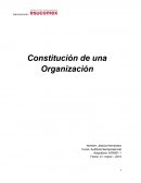 Constitución de una Organización