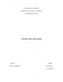 Psicodiagnostico General Técnica hora del juego