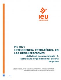 ESTRUCTURA ORGANIZACIONAL DE UNA EMPRESA. Página 1
