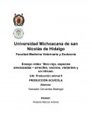 Ensayo video ¨libro rojo, especies amenazadas – arrecifes, vecinos, visitantes y un intruso