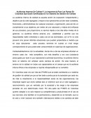 Auditorías Internas De Calidad