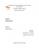 MODULO I COMUNICACION