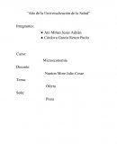 Microeconomia. Oferta