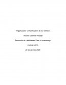 Organización y planificación de los tiempos