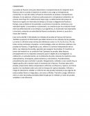 Comentario fluencia