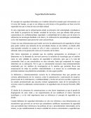 Seguridad informatica