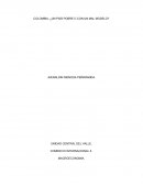COLOMBIA: ¿UN PAÍS POBRE O CON UN MAL MODELO?