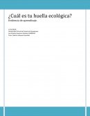 ¿Cuál es tu huella ecológica? Evidencia de aprendizaje