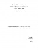 Ganadería y Agricultura en Venezuela