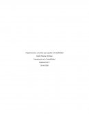 Organizaciones y normas que regulan la Contabilidad