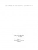 FILOSOFIA, EL VERDADERO PENSAMIENTO DEL SER HUMANO