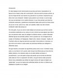 Introducción del procedimiento maya