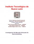 Investigación De Mercado Enfocado En Neuromarketing