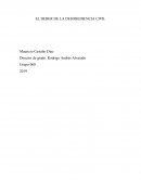 El deber de la desobediencia civil