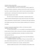 CUESTIONARIO TRAUMA CRANEOENCEFALICO